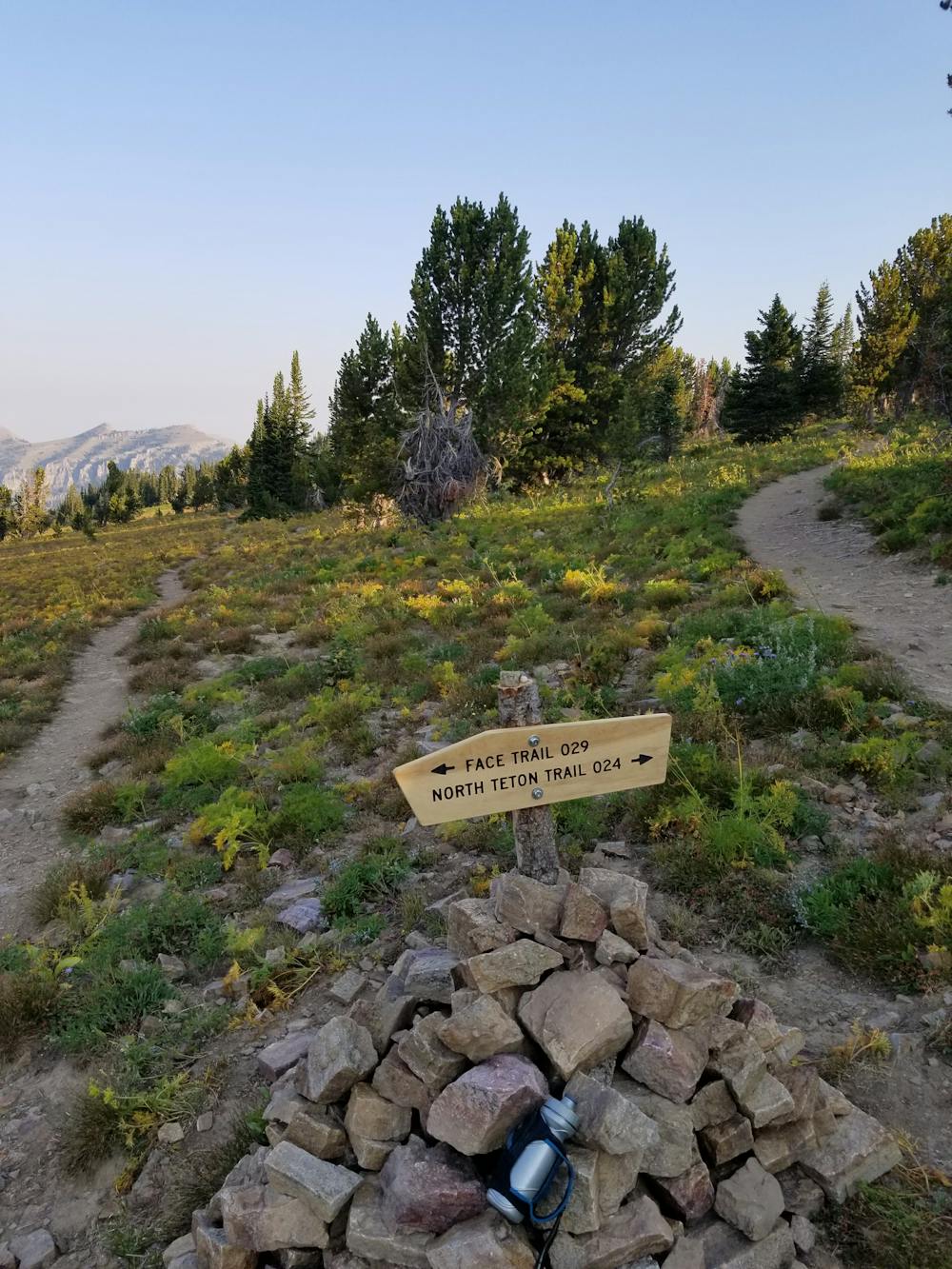 North Teton Trail/Face Trail Intersection