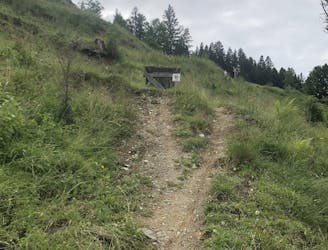 Gaisberg Trail
