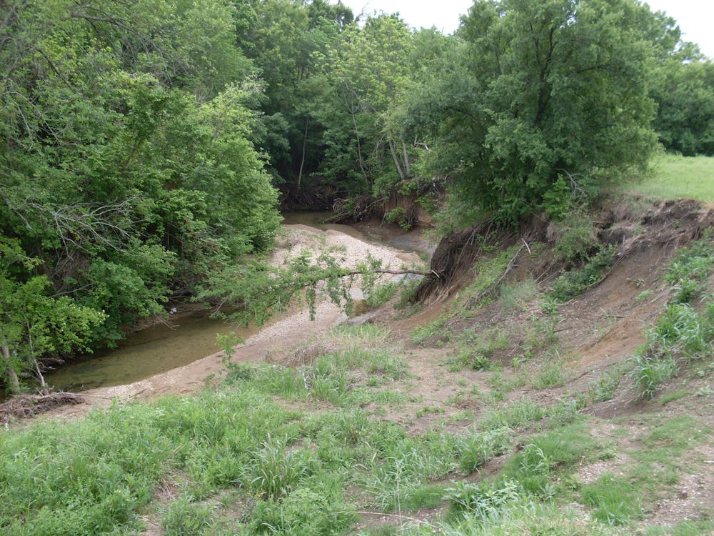 Creek at Arbor Hills