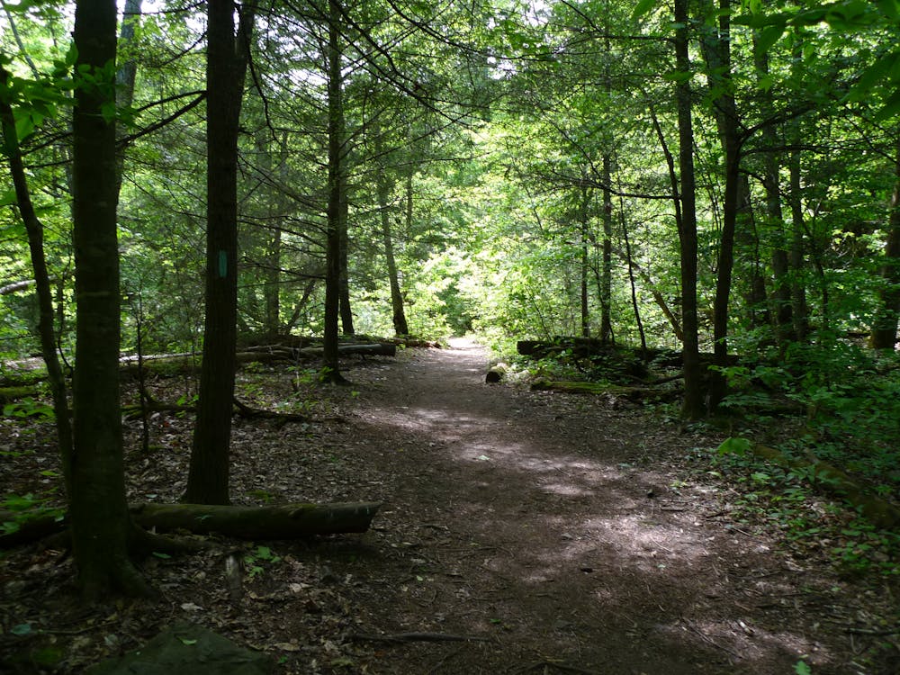 Appalachian Trail - Laurel Fork Gorge