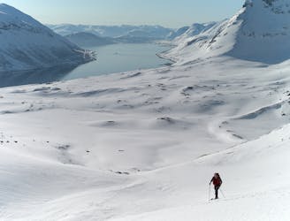 20 Steps to Heaven: Ski Tour Norway's Frozen North