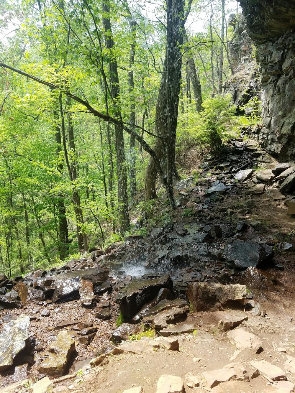 Photo from Johns Mountain and Keown Falls