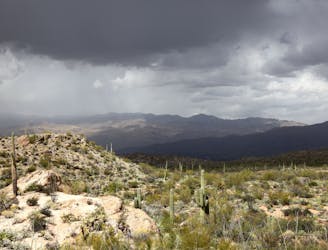Arizona Trail: Santa Ritas to Saguaro NP, Day 3