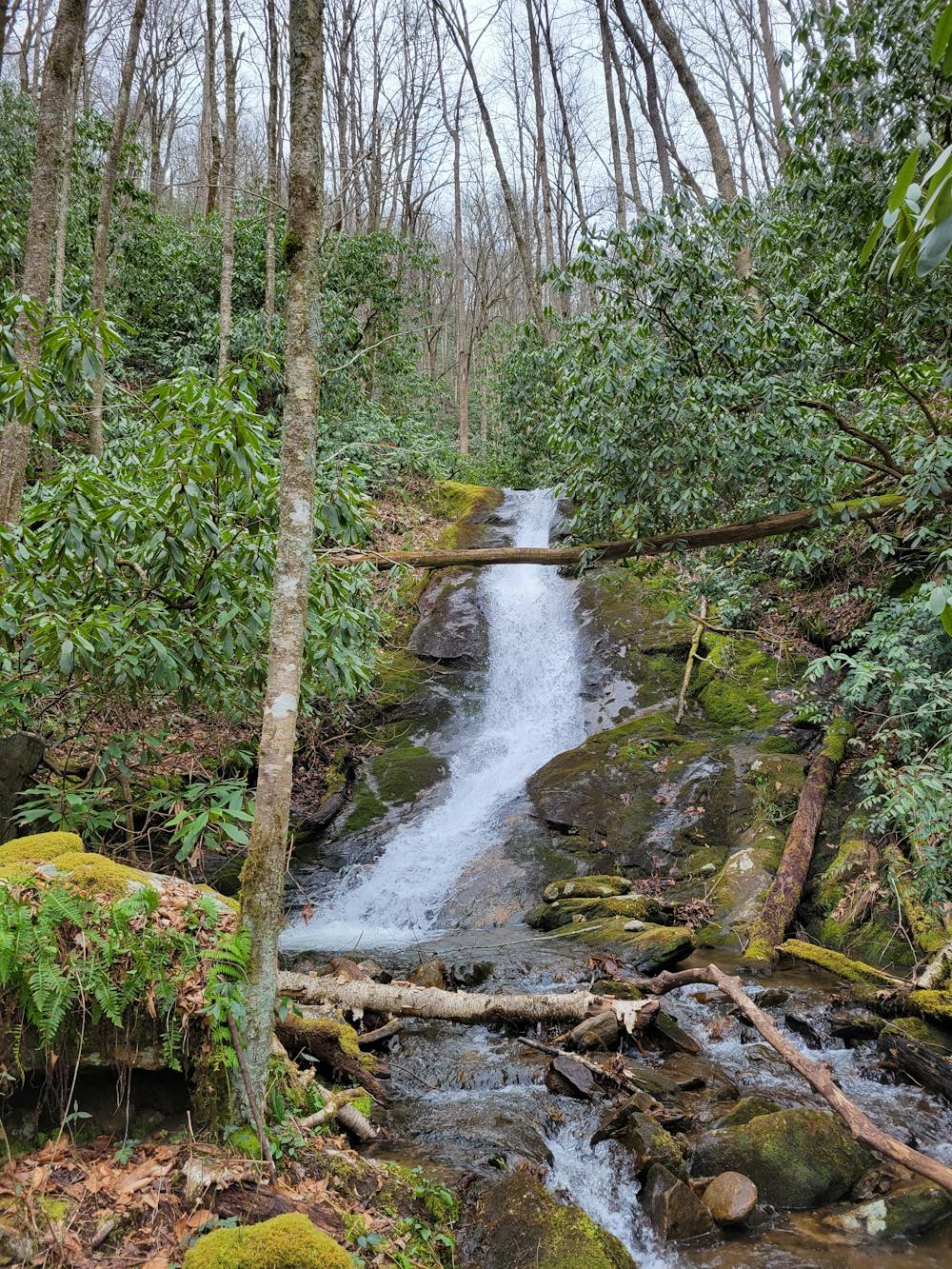 Dryland Laurel Branch Falls