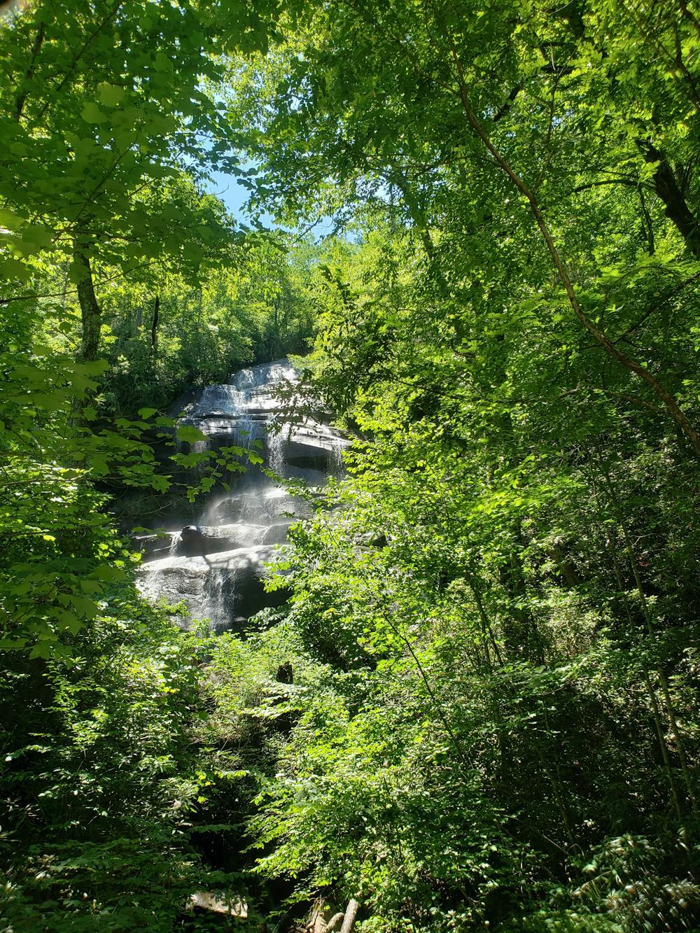 Daniel Ridge Falls
