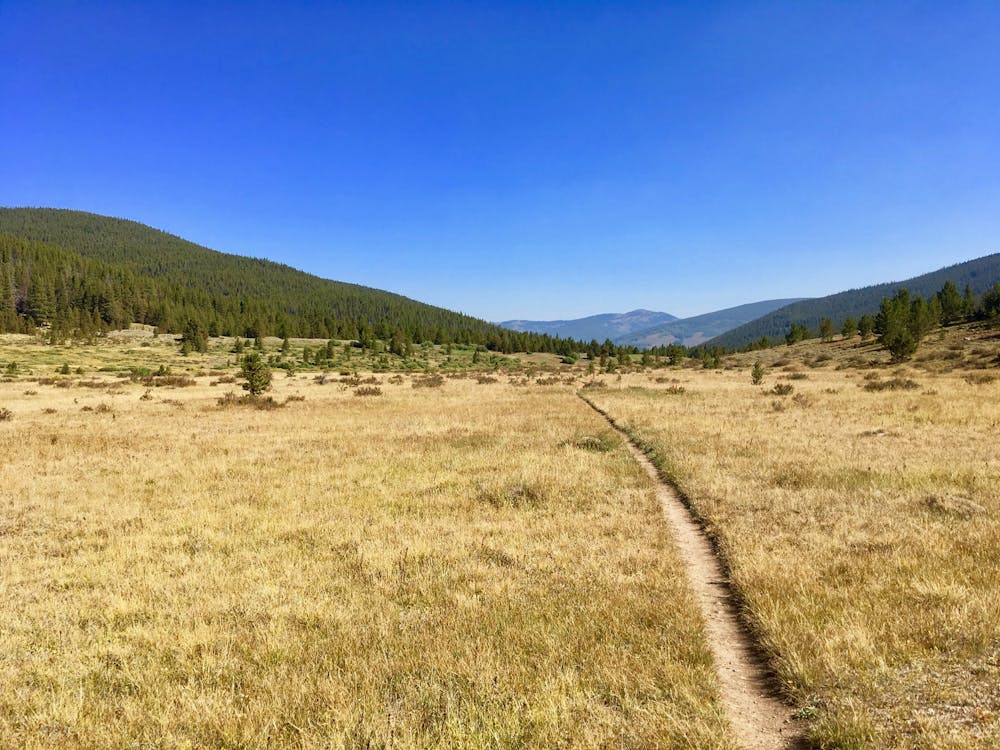 Photo from Colorado Trail: Camp Hale to Tennessee Pass
