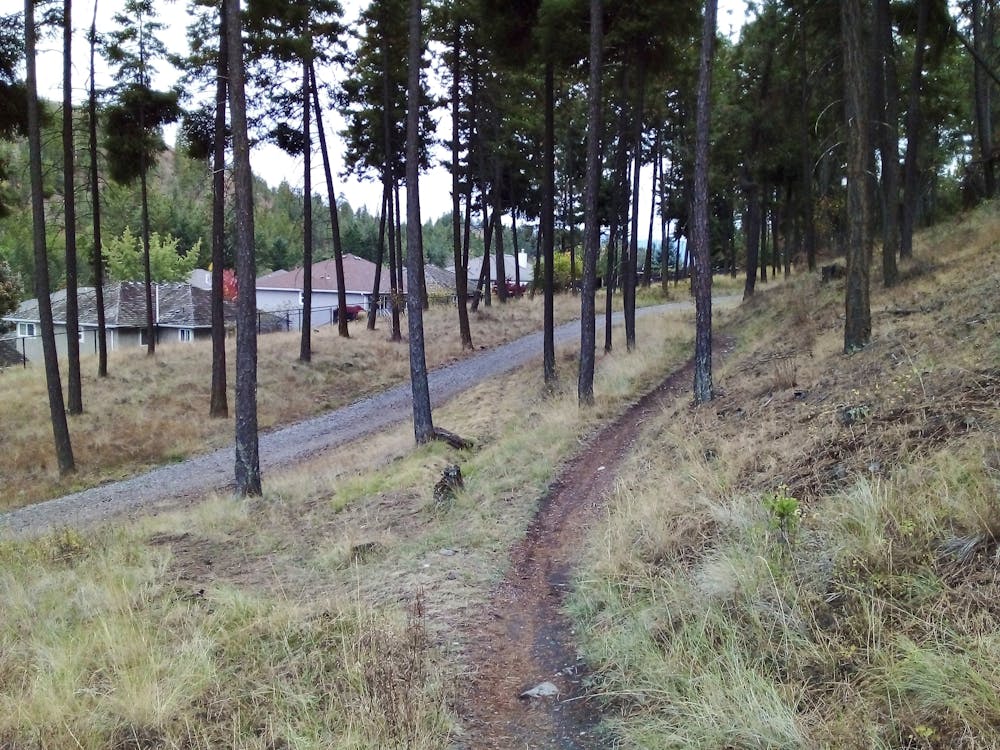 The Balsamroot Bluff Trail passing close to the Magic Estates Trail.