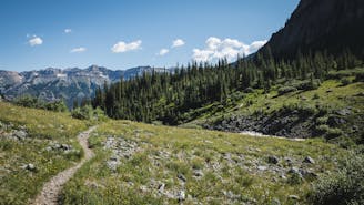 Wasatch Trail Out-and-Back