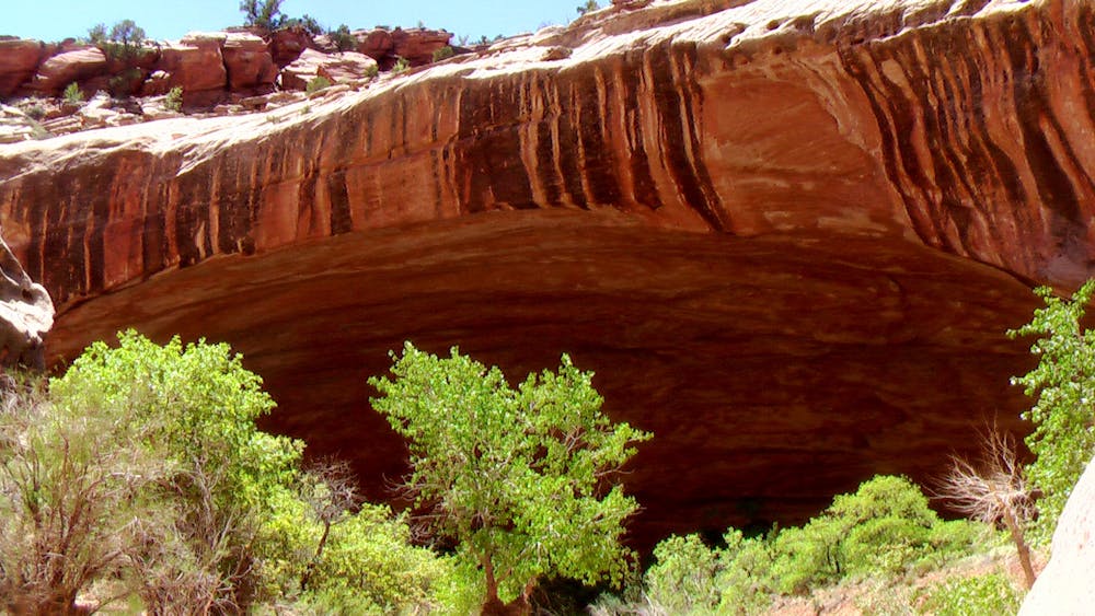 A deep alcove in Lower Muley Twist Canyon