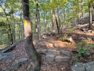 Base Trail