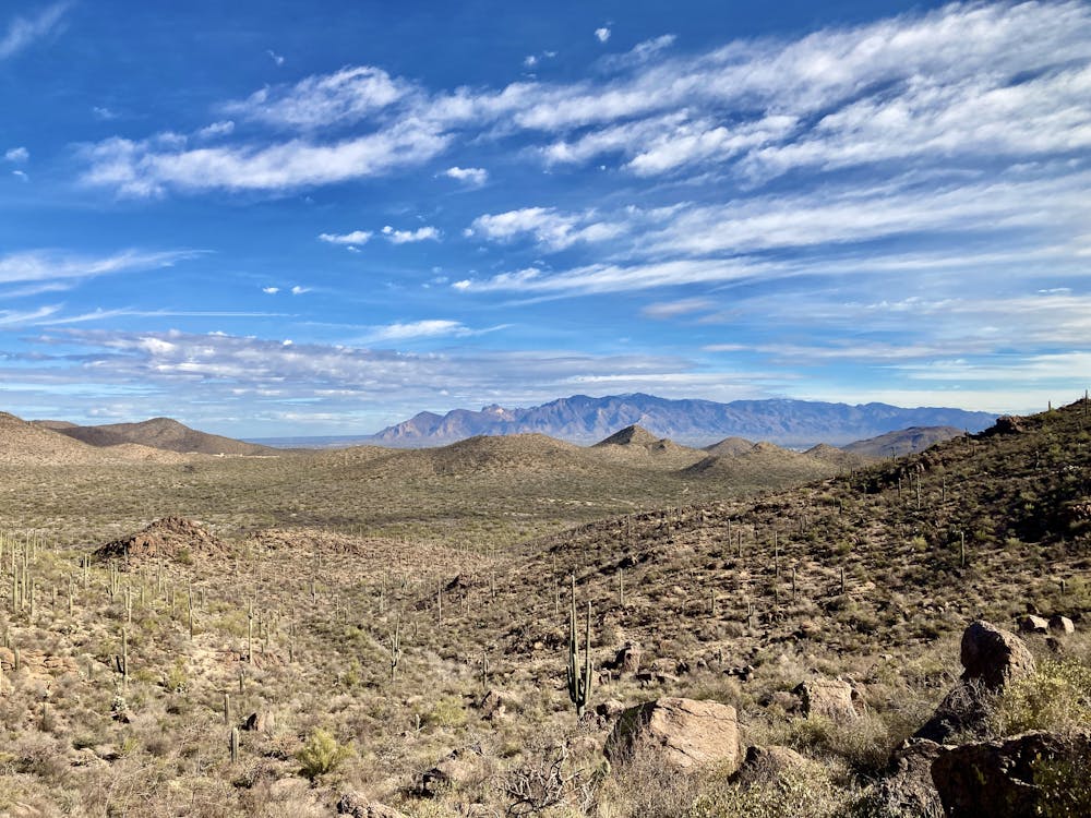 View from the Explorer Trail