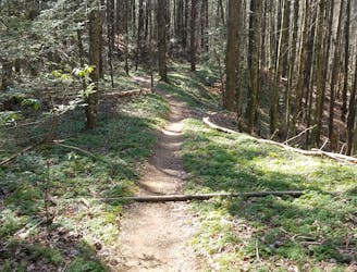 Pinhoti Trail: Mulberry Gap to Benton MacKaye Trail