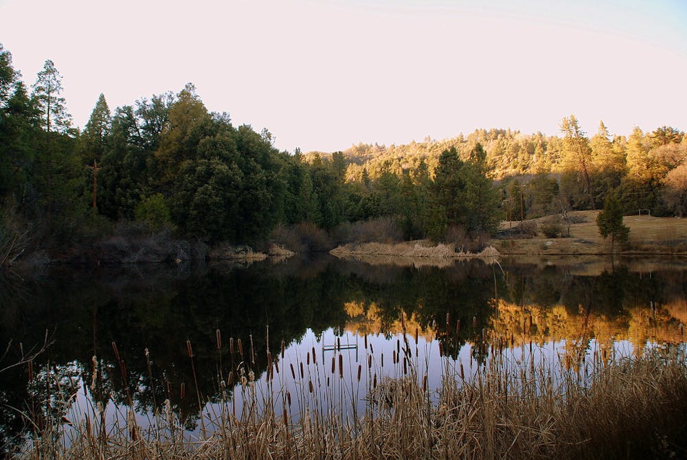 Doane Pond, near the start of the loop