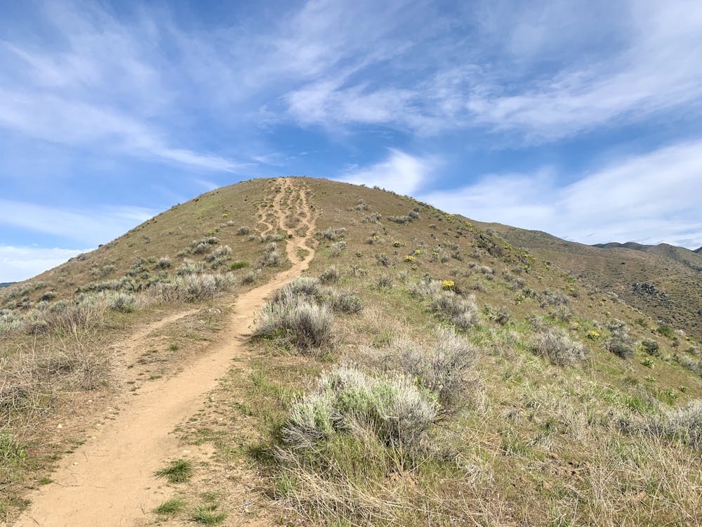 A steep start to Cervidae Peak