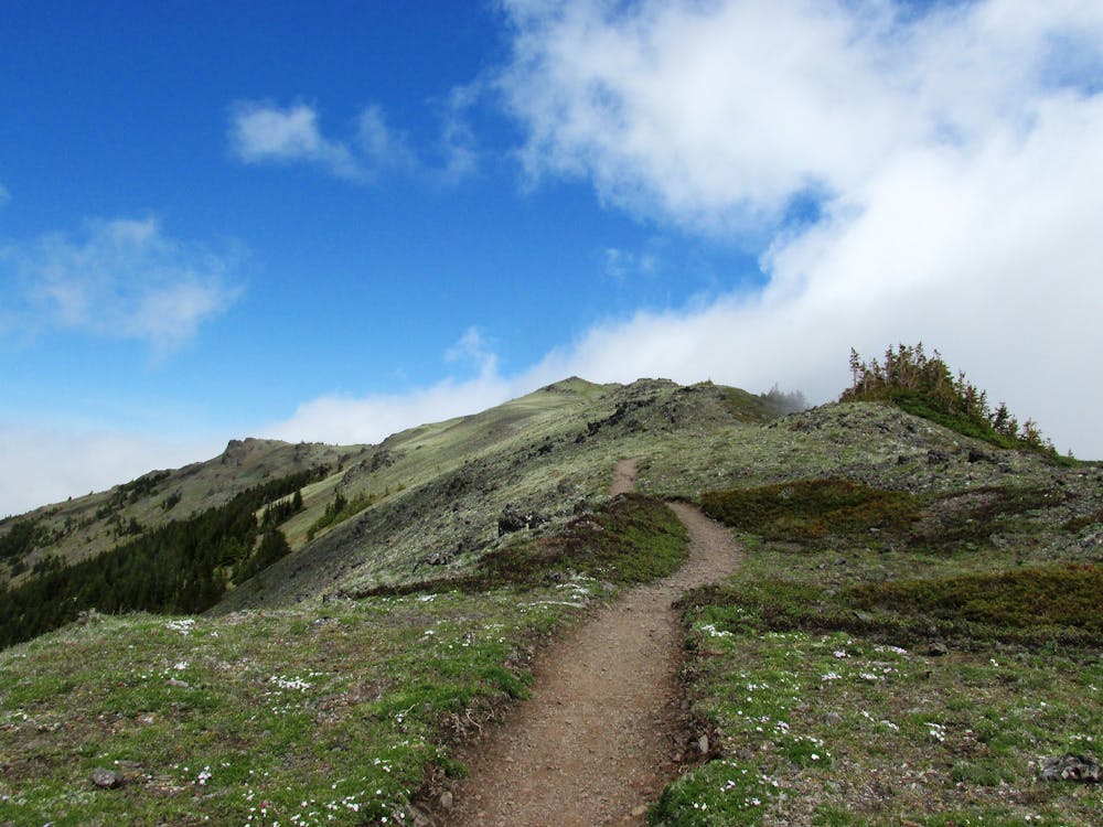 nearing the summit of Mount Townsend