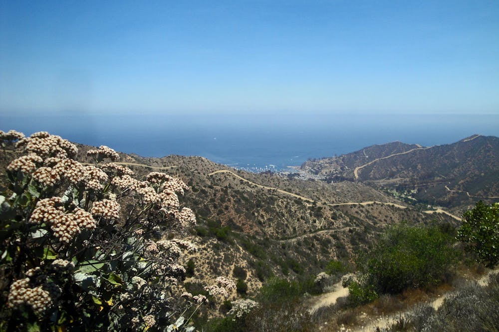 Looking back at Avalon from Hermit Gulch Trail