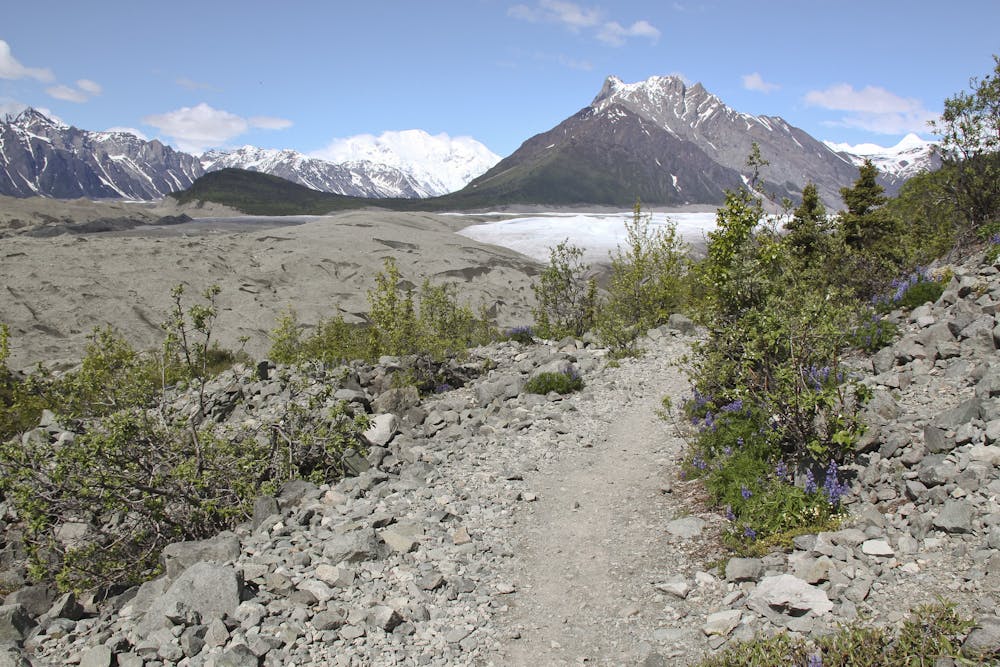 Root Glacier Trail- Following a Lateral Moraine
