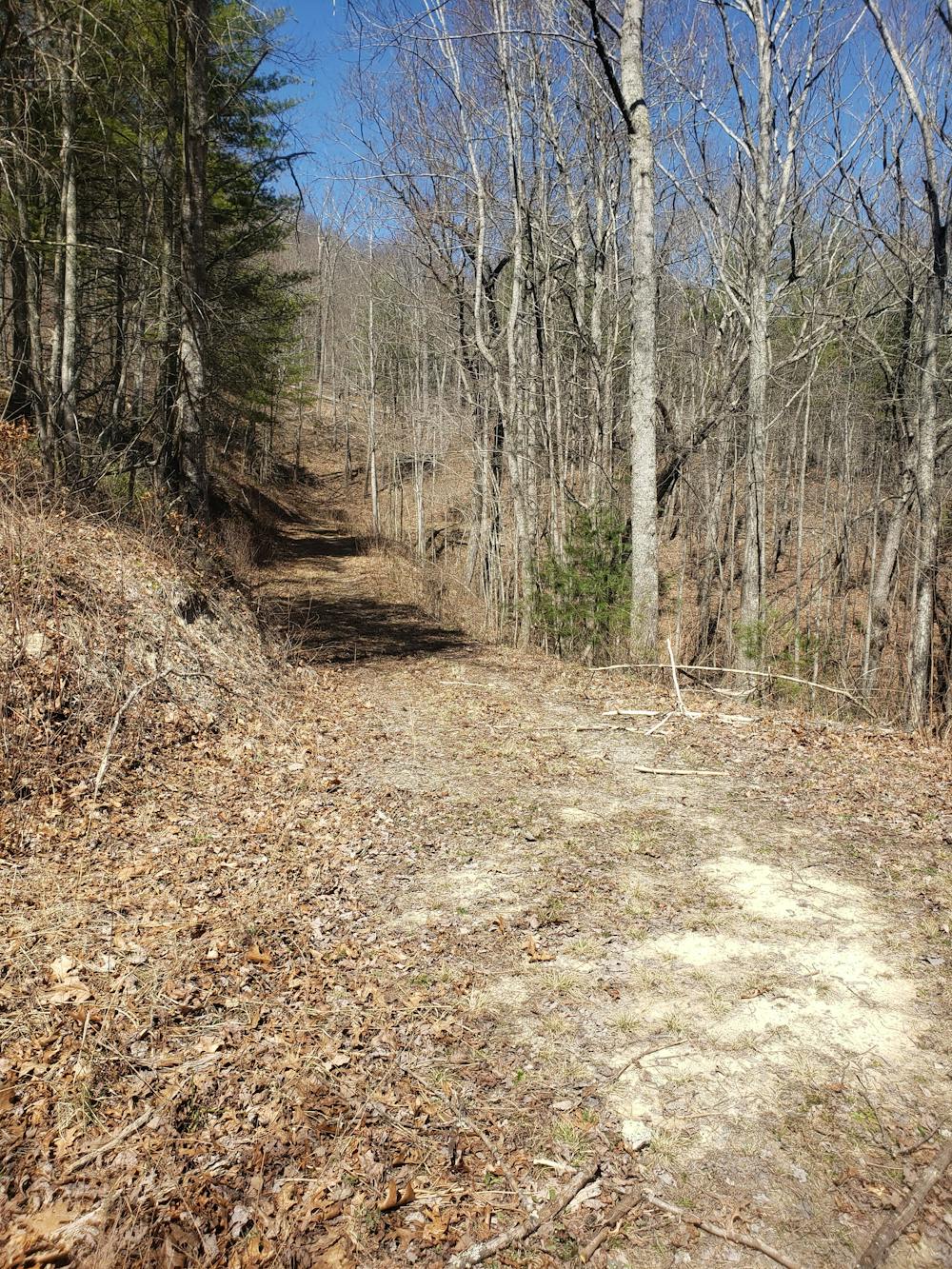 Photo from Mill Ridge Trail
