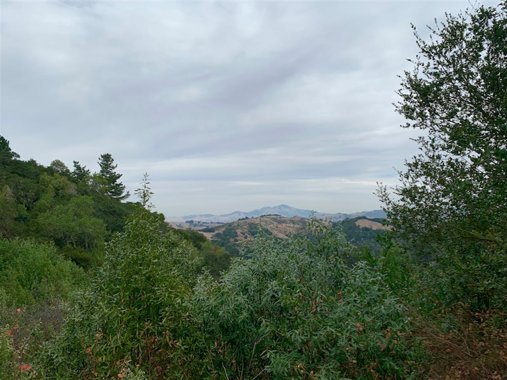 View of Mount Diablo from West Ridge