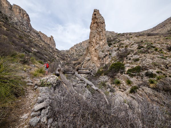 Explore the Trails Above the Caves in Carlsbad Caverns NP
