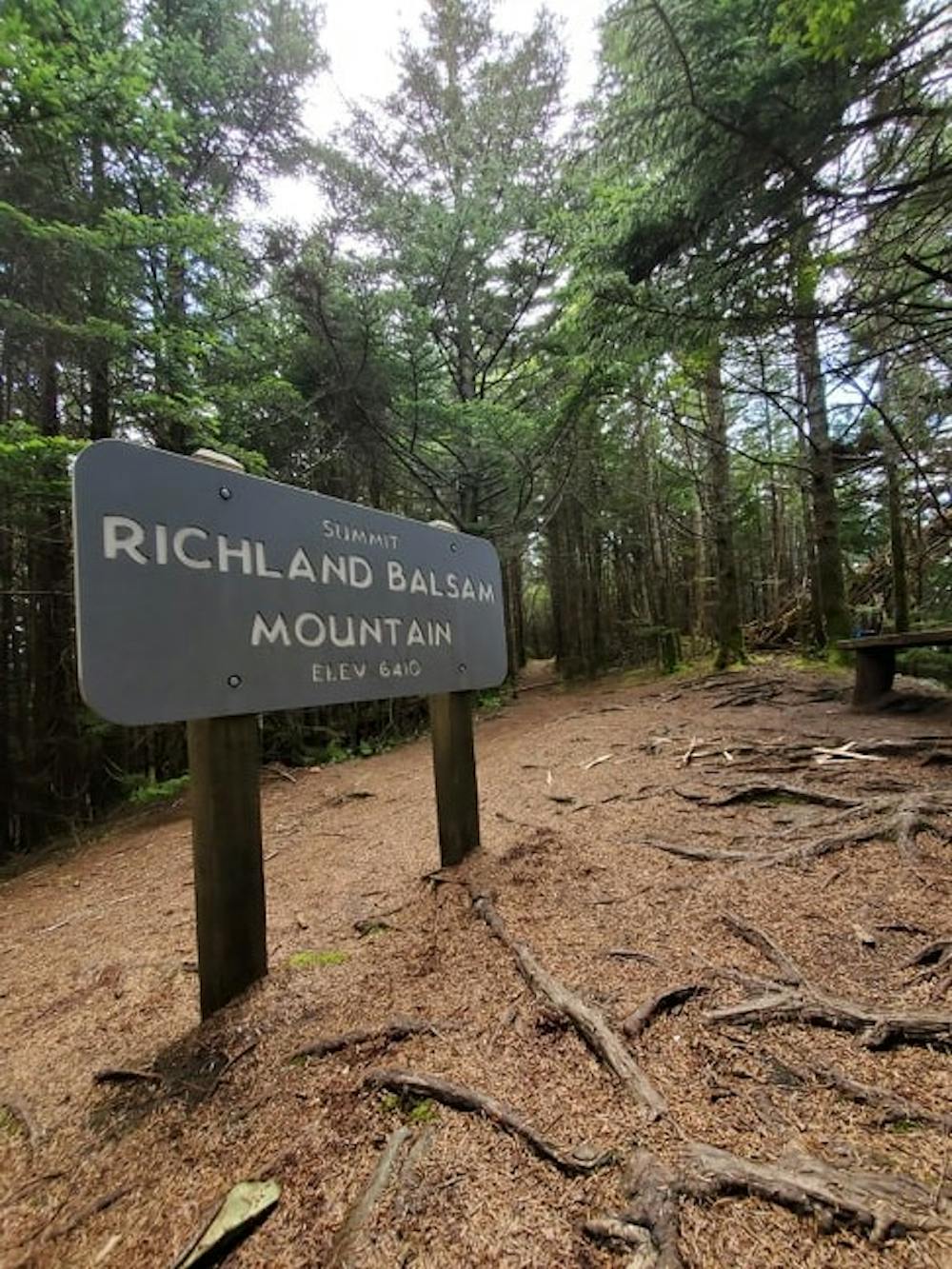 Photo from Richland Balsam Summit Loop