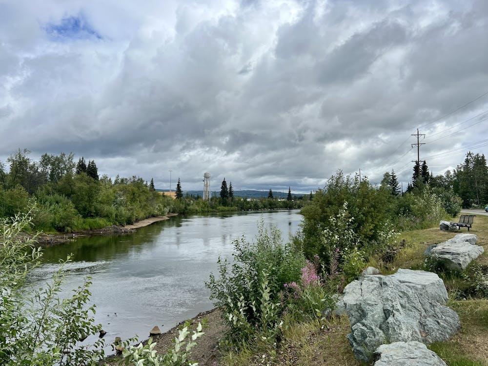 Photo from Chena River Greenway