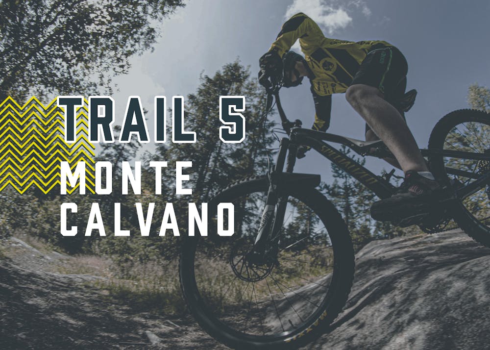 Trail 5 | Monte Calvano - Chiusi Verna Bike