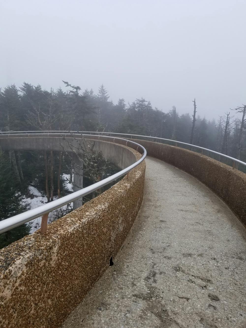 Clingmans Dome in March