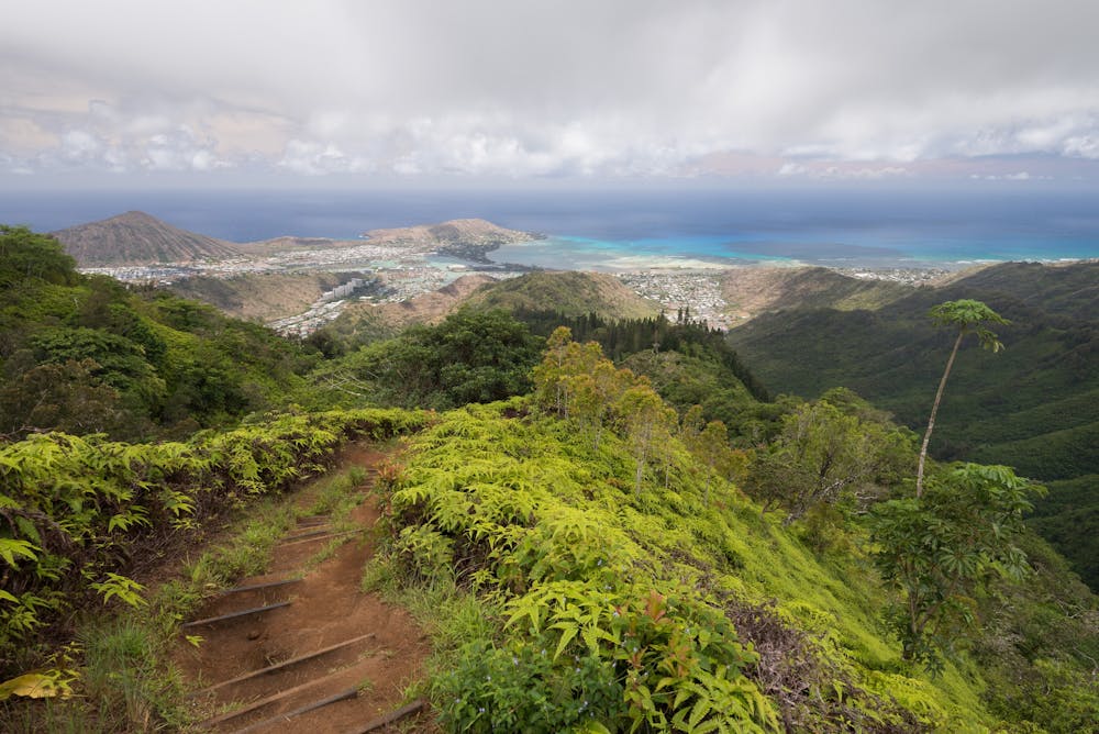 Photo from Kuliouou Ridge Trail