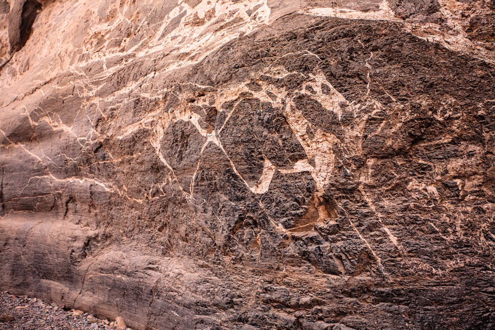 Petroglyph like veins on the canyon walls.