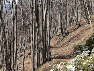 Sentiero delle mole - Malga Campogrosso - Sentiero naturalistico Alberto Gresele