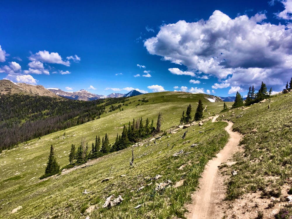 Photo from Monarch Crest: Monarch Pass to Marshall Pass