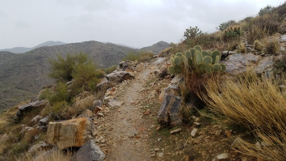 Photo from Mesquite / Willow Canyon Loop