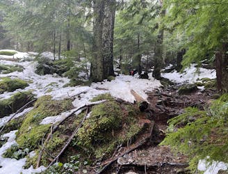 Mt Gardner Hiker's Trail