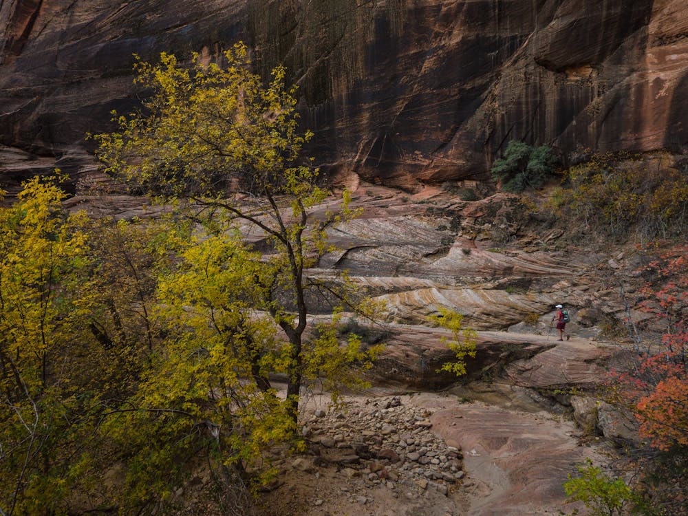 In the fall the trees add vibrant color to the already colorful canyon walls.
