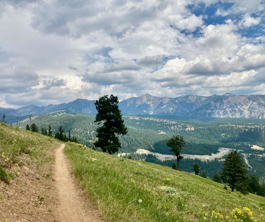 The Rut: One of North America’s Toughest Trail Races