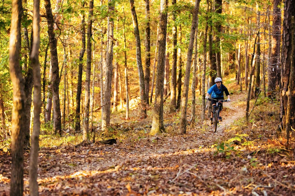 Cross country mountain discount bike trails near me