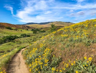 Best of Boise: Trail Running in the City