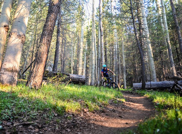 7 of the Best Mountain Bike Rides in Flagstaff