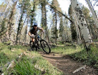 Best Pedal-Driven MTB Loop Rides near Angel Fire
