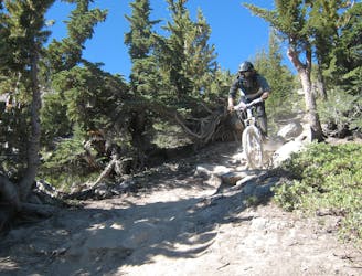 5 Burly Pro Lines in the Mammoth Mountain Bike Park