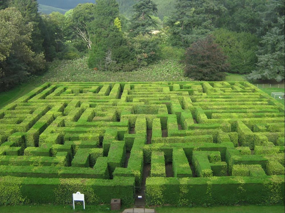 Hedge maze at Traquair House