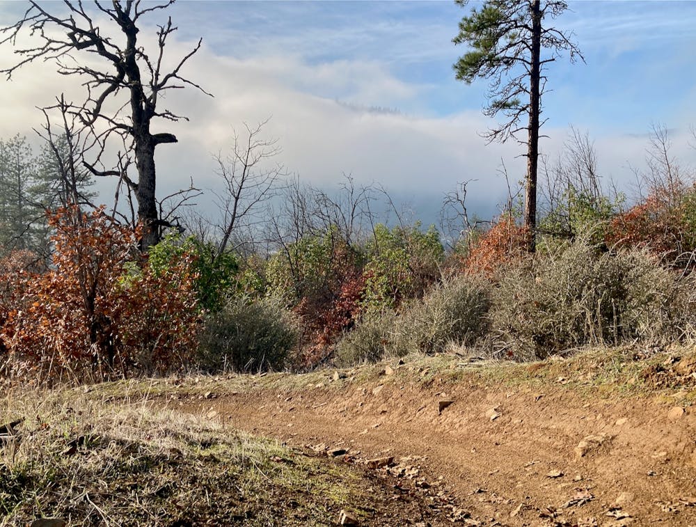 Photo from Mountain of the Rogue: Pay Dirt Loop