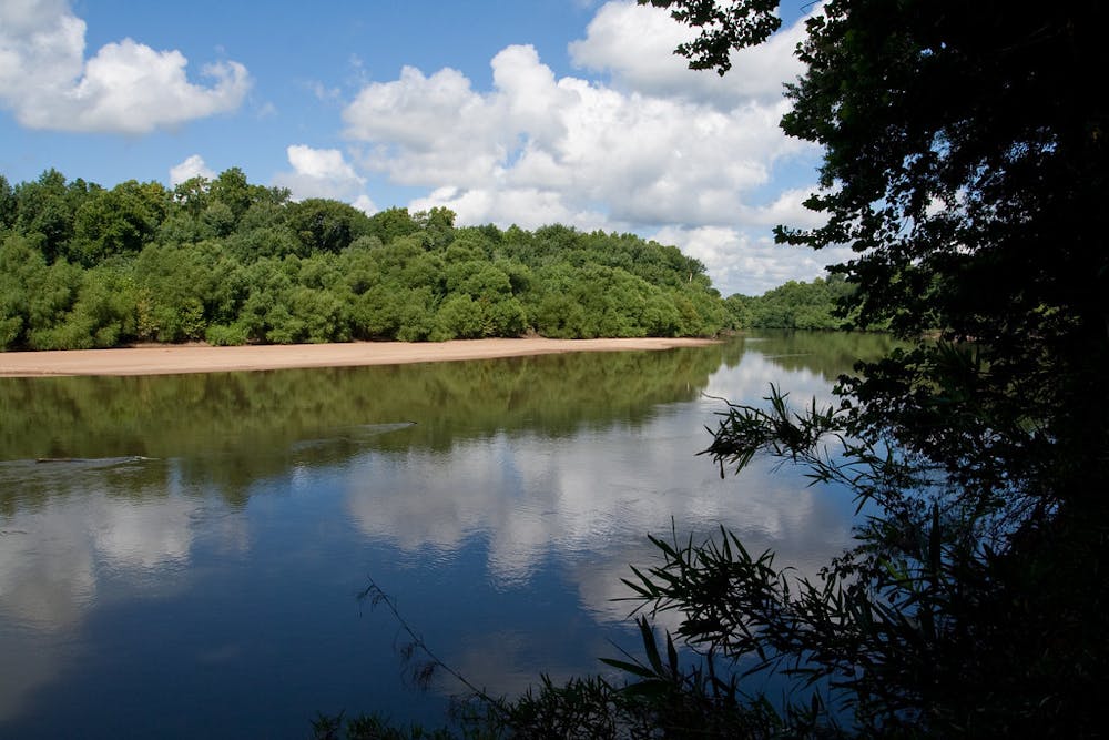 The Congaree River