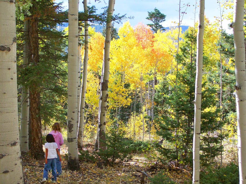 Hiking Medano Pass Trail in the fall