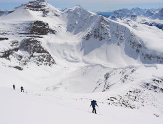 Big Alberta Adventures : Ski Tours from Bow Lake