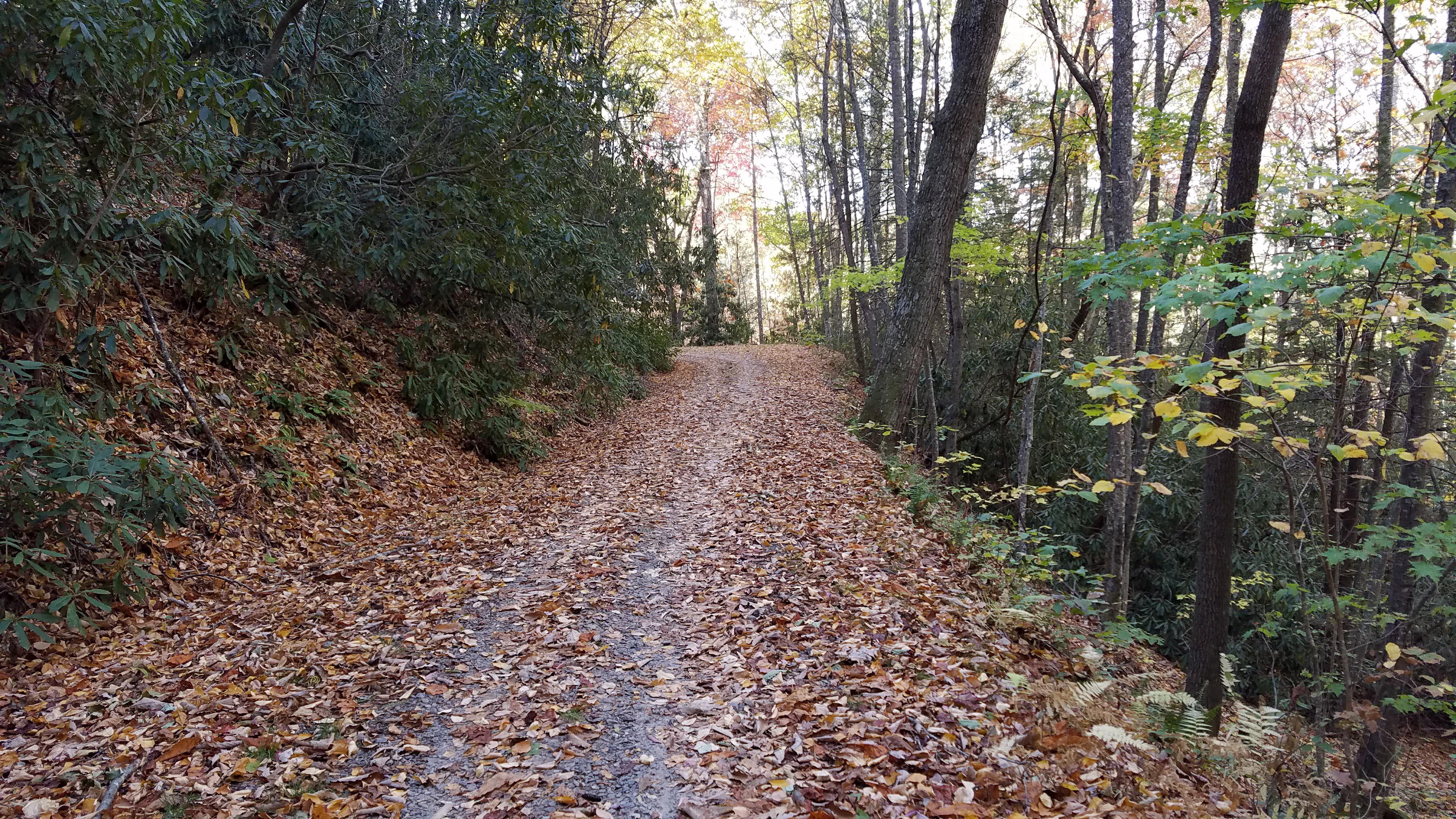 pisgah gravel rides