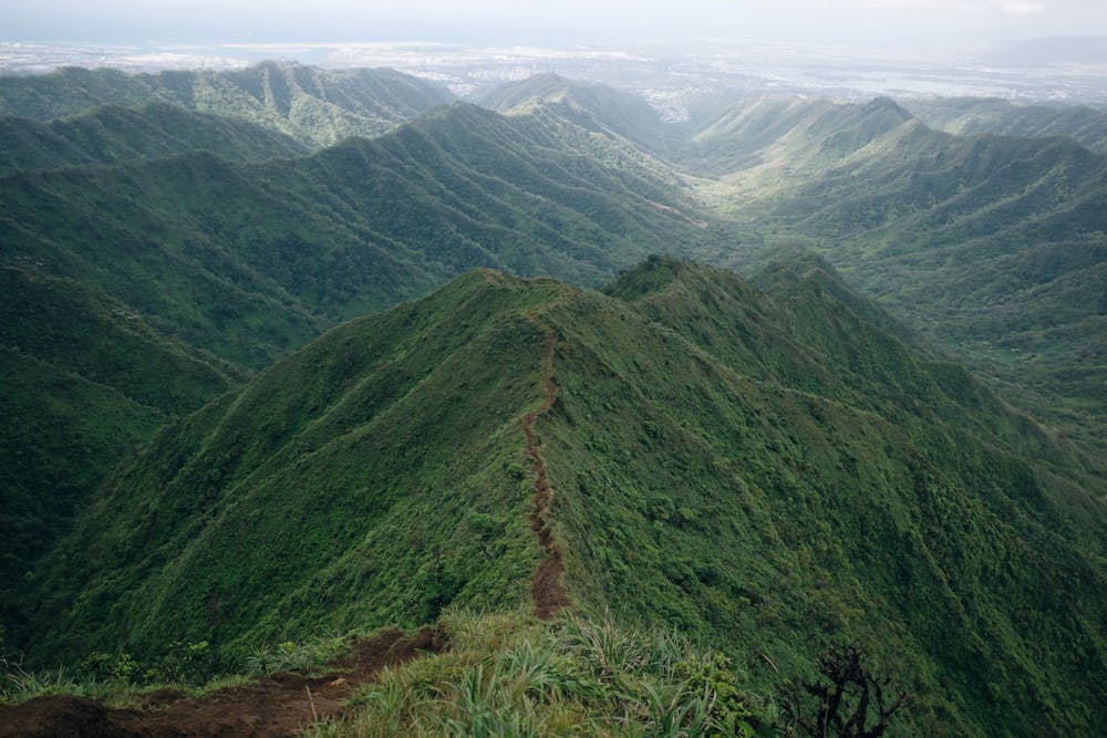 Photo from Moanalua Valley and Tripler Ridge Trail Loop