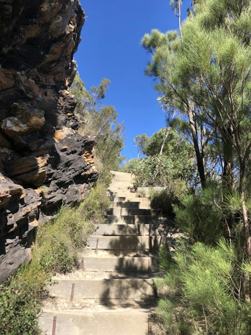 Bluff Knoll track - timber-reinforced steps