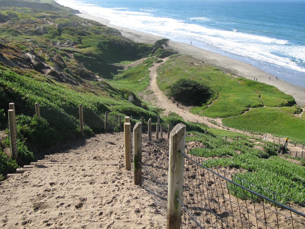 The steep sand stairs down to the beach